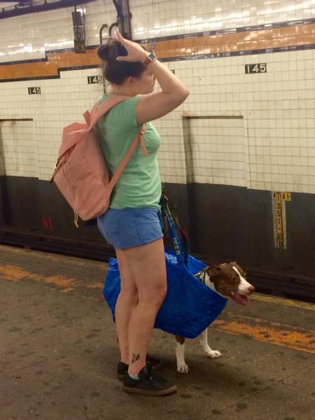 Morning Picdump