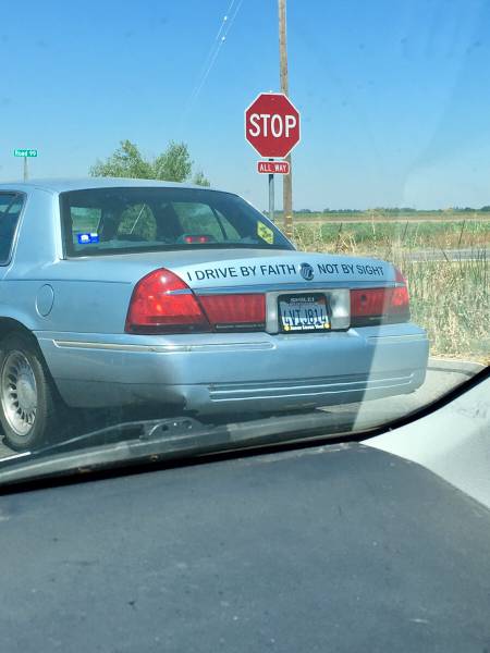 Morning Picdump
