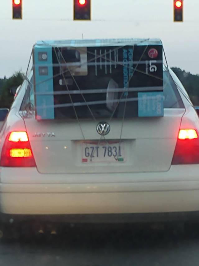 Morning Picdump