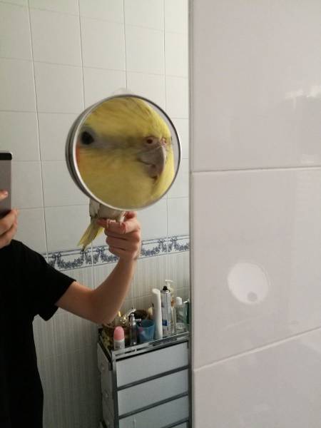 Daily Picdump