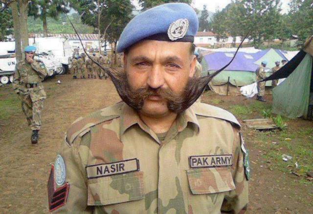 What And Why The Hell?!