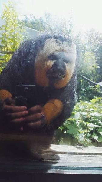 Daily Picdump