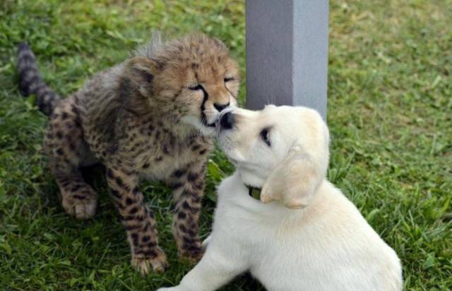 Daily Picdump