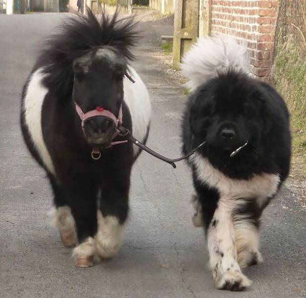 Daily Picdump