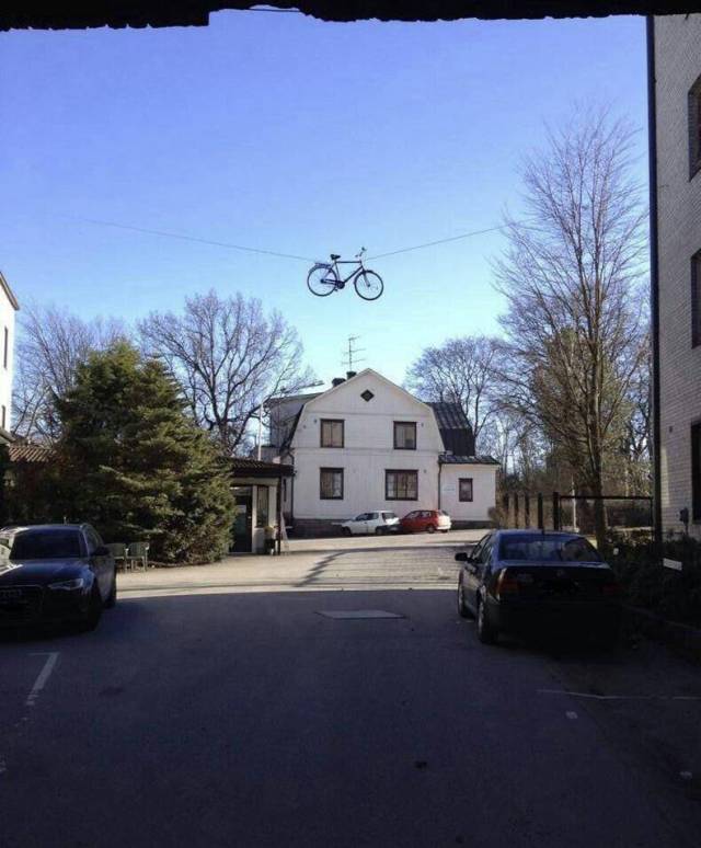 Daily Picdump