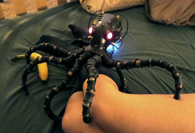 Daily Picdump