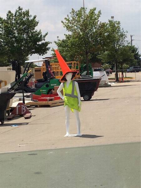 Daily Picdump