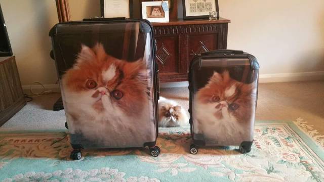 Daily Picdump