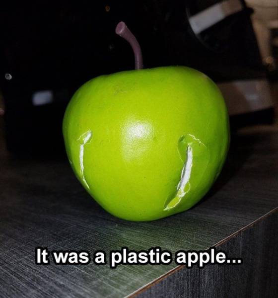 Daily Picdump