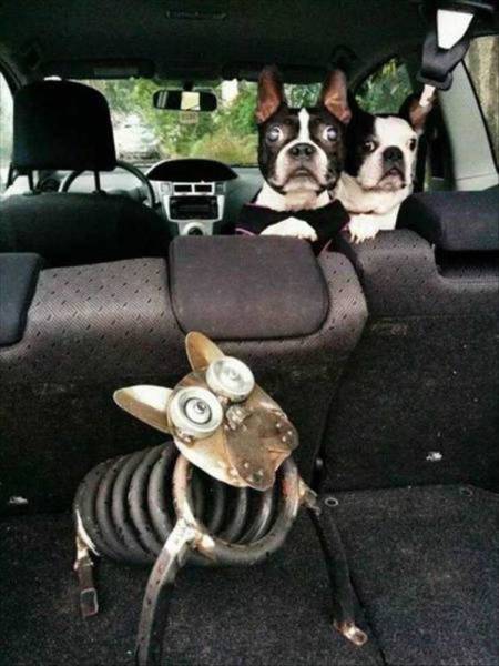 Daily Picdump
