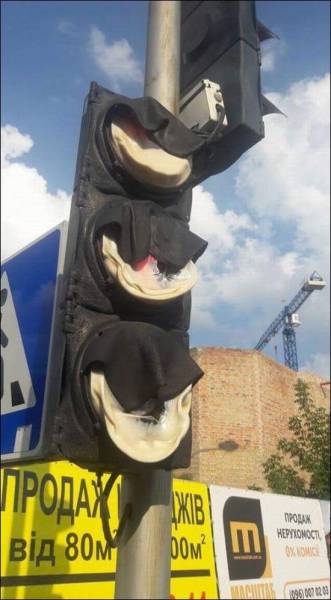Daily Picdump