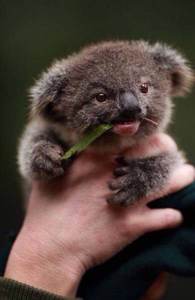 Daily Picdump