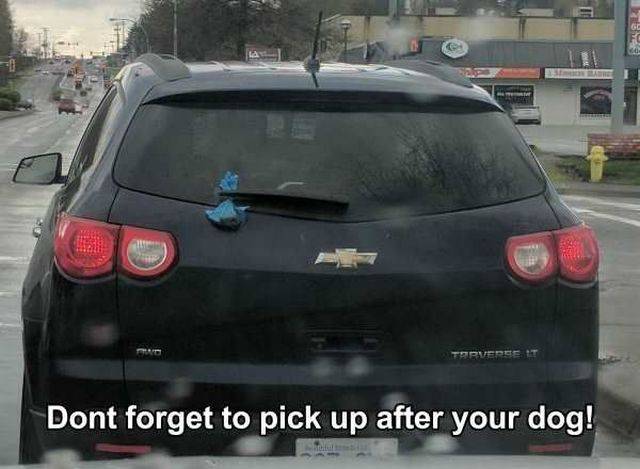 Daily Picdump