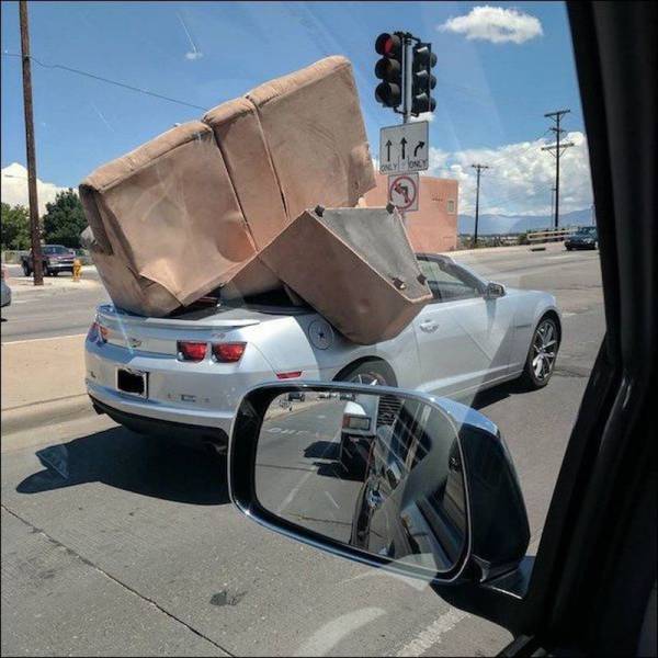 Daily Picdump