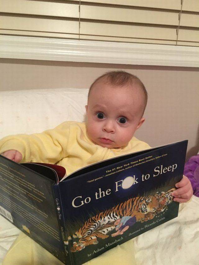 Daily Picdump