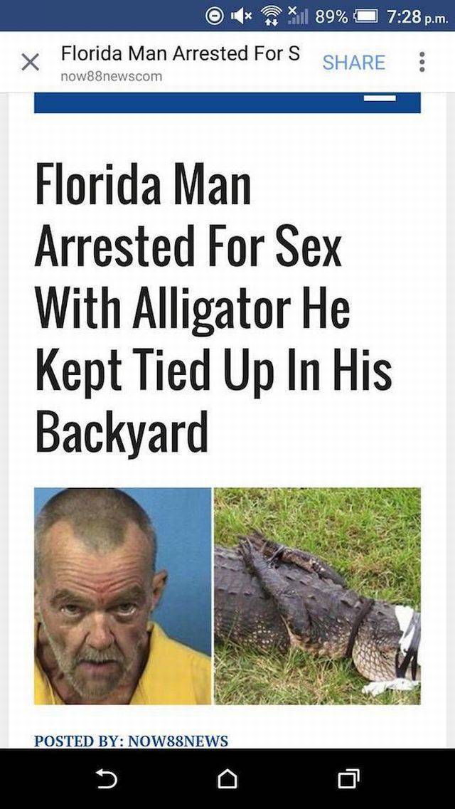 Daily Picdump