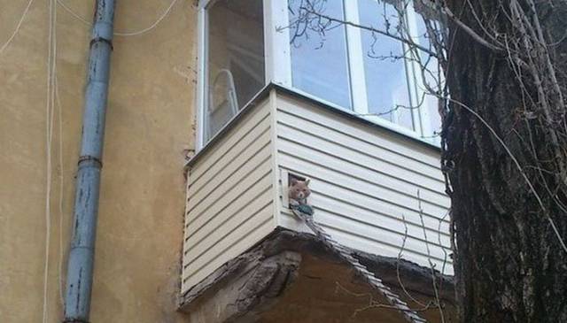 If You Visit Russia, Check The Balconies First