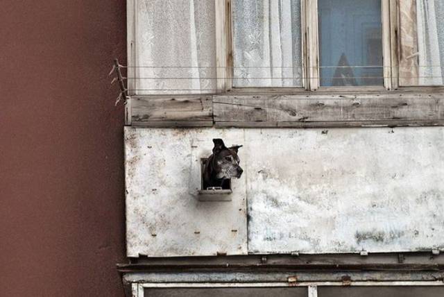 If You Visit Russia, Check The Balconies First