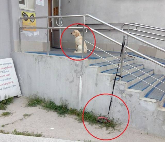 Daily Picdump [WEEKEND EDITION]