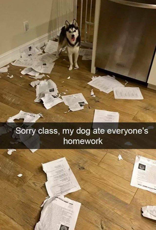 Daily Picdump [WEEKEND EDITION]