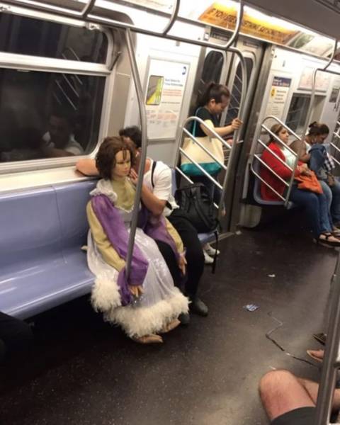 Daily Picdump