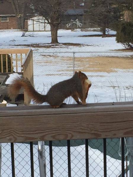 Daily Picdump