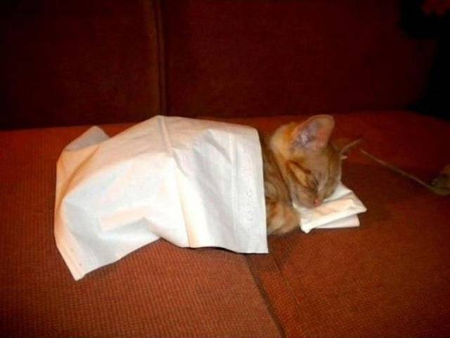 Daily Picdump