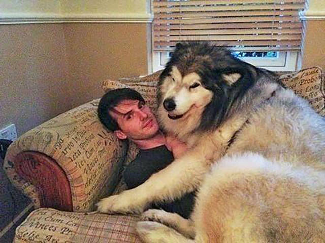 Daily Picdump [WEEKEND EDITION]