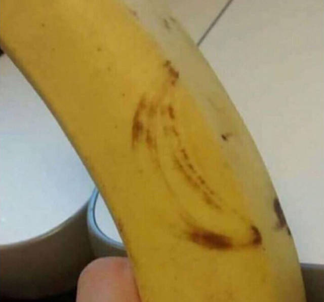 Daily Picdump [WEEKEND EDITION]