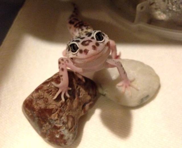 Daily Picdump [WEEKEND EDITION]