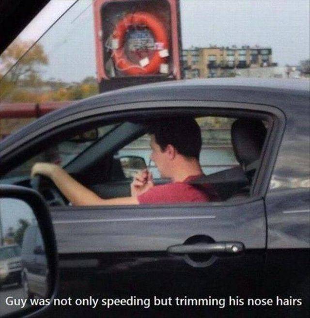 Daily Picdump