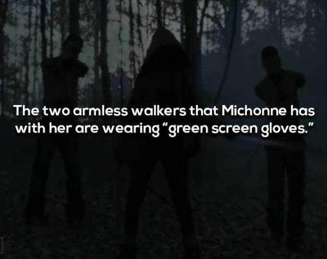 Not Brain-Dead Facts About “The Walking Dead”