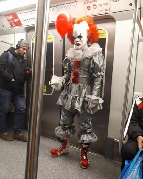 Daily Picdump