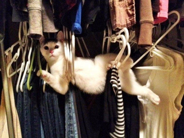 Daily Picdump