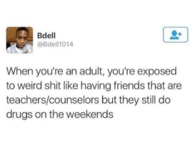 Memes About Becoming An Adult Never Grow Old