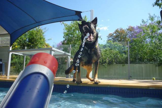 Morning Picdump
