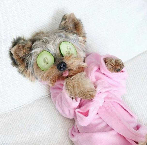 Morning Picdump