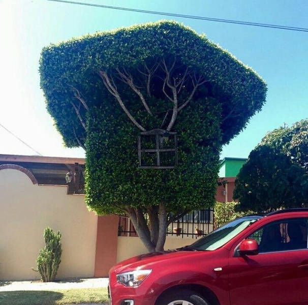 Morning Picdump