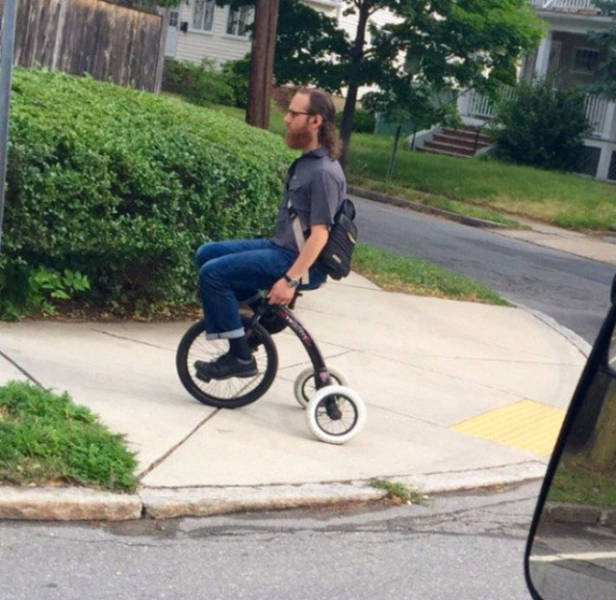 Daily Picdump