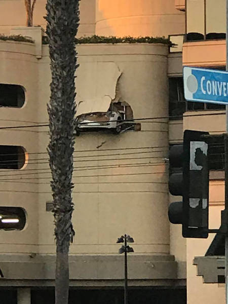 Daily Picdump [WEEKEND EDITION]