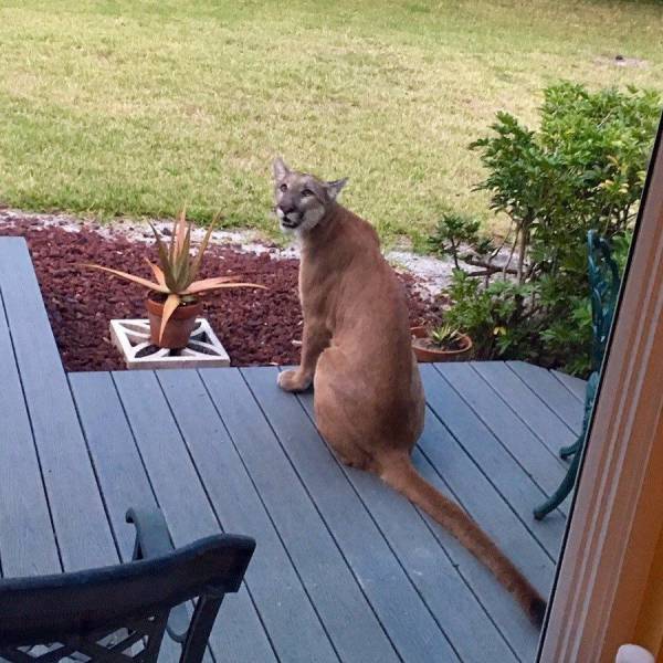 Daily Picdump
