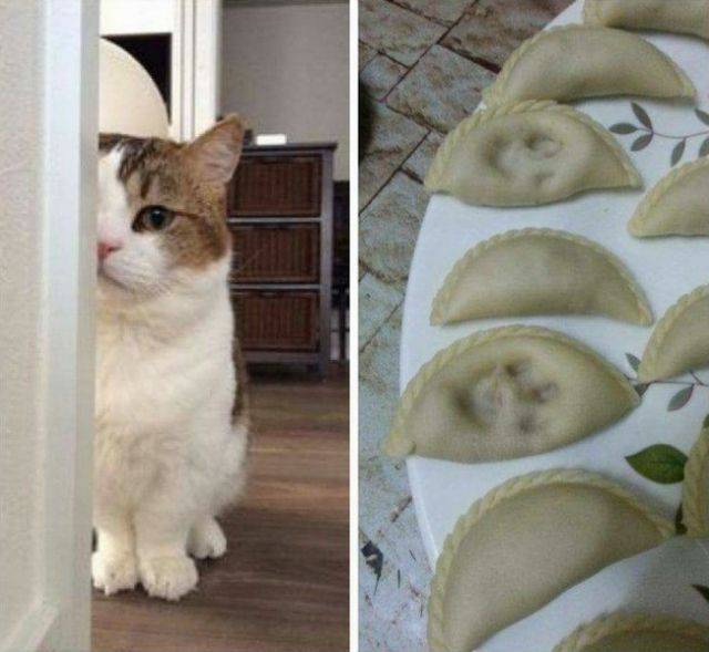 Daily Picdump