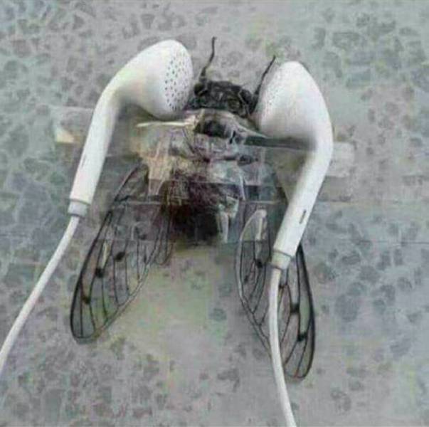 Daily Picdump