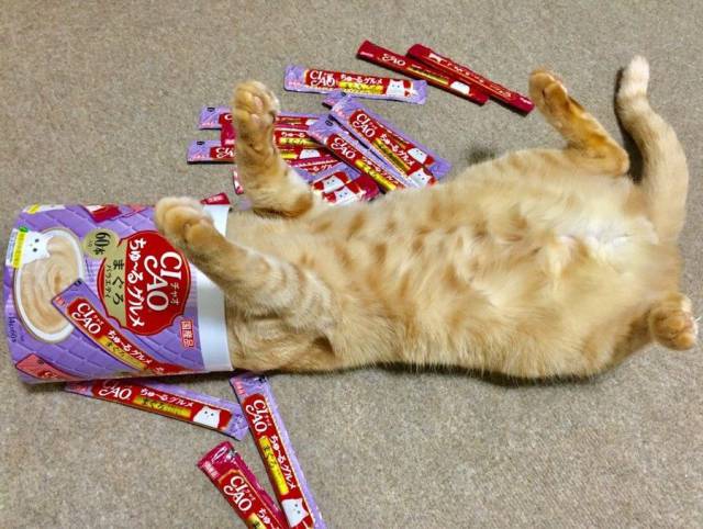 Daily Picdump