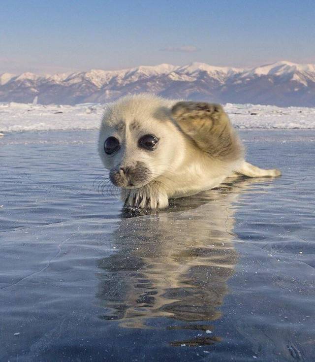 Daily Picdump
