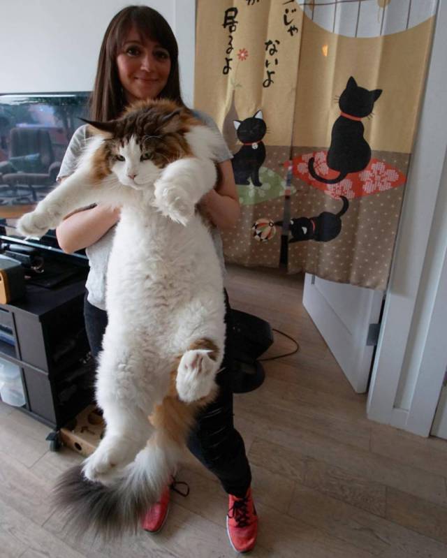 Daily Picdump