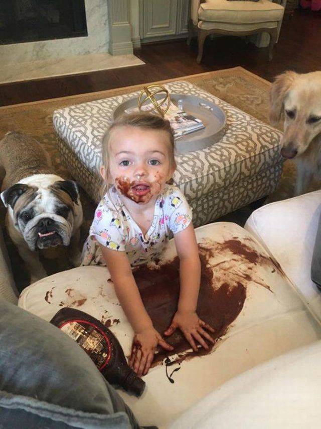 Daily Picdump