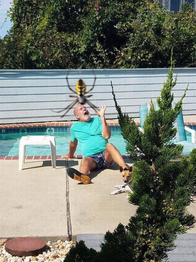 Daily Picdump