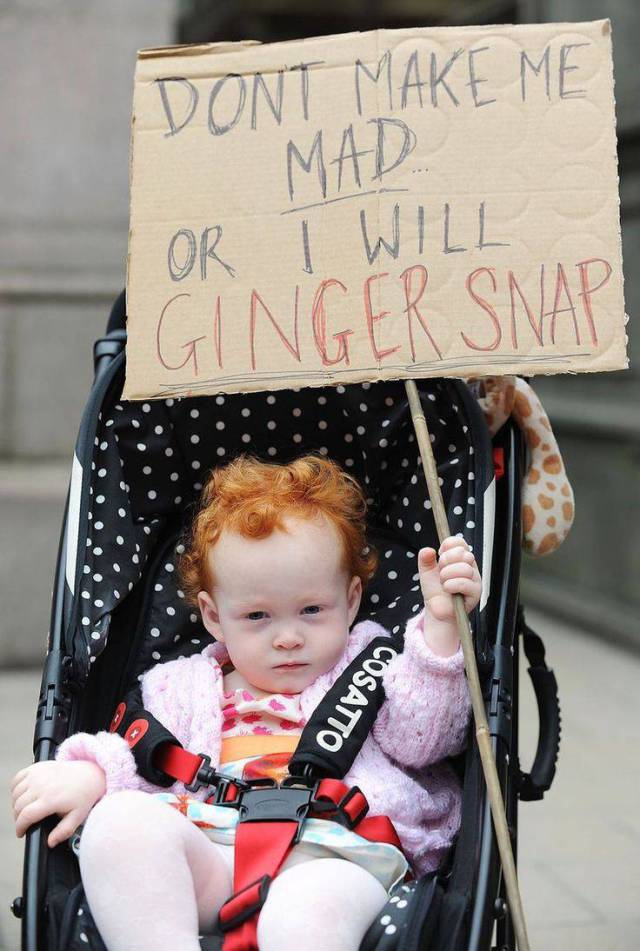 Daily Picdump