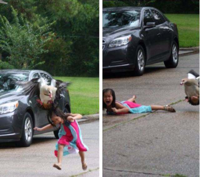 Morning Picdump